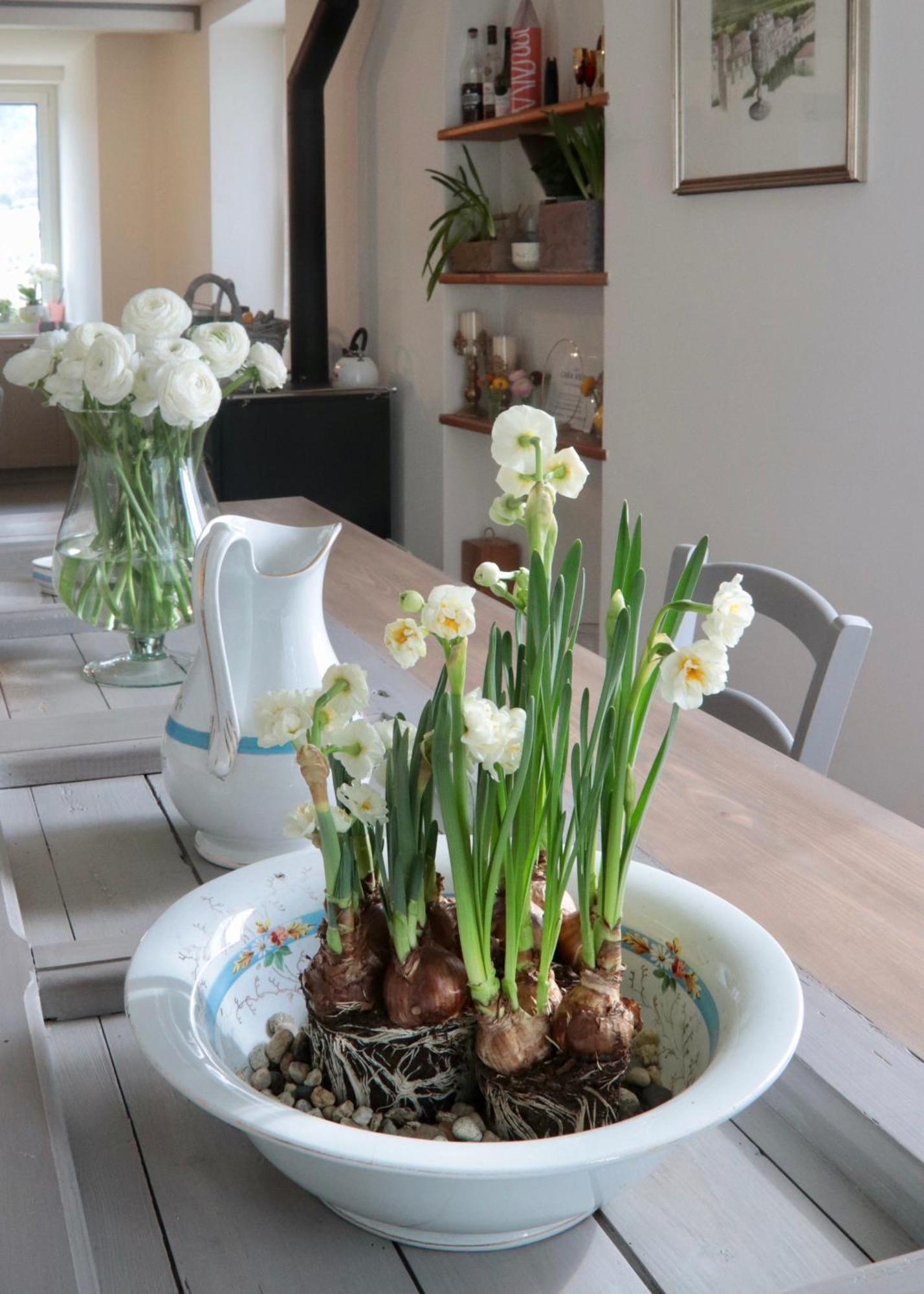 Casa Viola Bed And Breakfast Dimora Di Campagna Calice Ligure Esterno foto